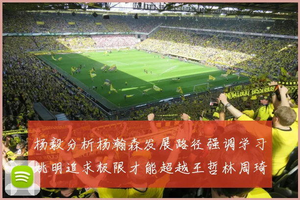 杨毅分析杨瀚森发展路径强调学习姚明追求极限才能超越王哲林周琦状态